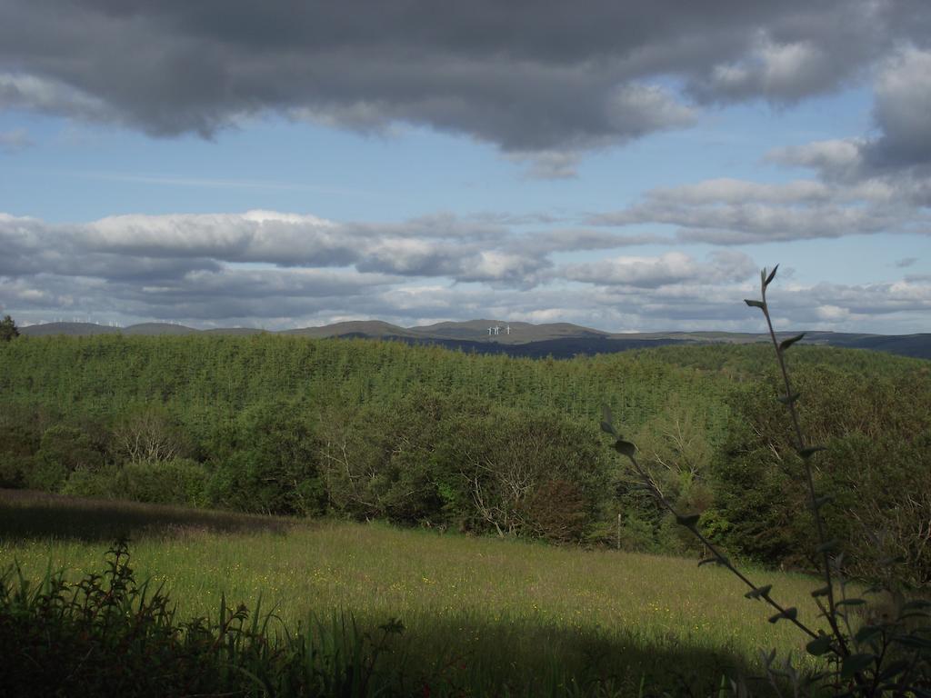 Pine View Self Catering Holiday Home Donegal Town Exteriör bild